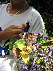 009 Butterfly Sanctuary